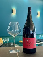 Bouteille : CLOS AGUILEM – MAS rouge (2021)