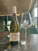 Bouteille : DARIO DI VAIRA - Bolgheri (2023)