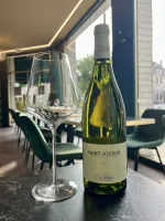 Bouteille : Domaine COURBIS - St Joseph (2024)