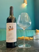 Bouteille : Domaine Jean-Luc COLOMBO – Terres brûlées (2020)